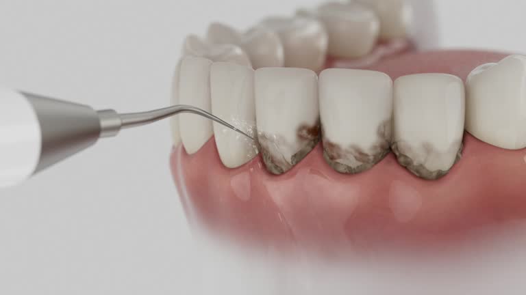 Reliable Dental contractor in San Lorenzo, CA by Dentist Open Now